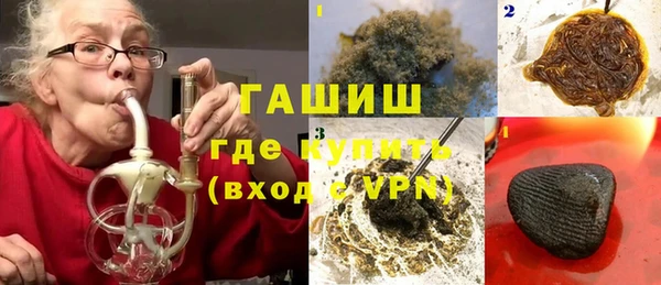 PSILOCYBIN Лабытнанги