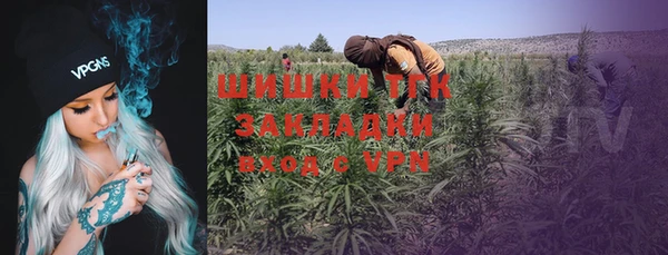 PSILOCYBIN Лабытнанги